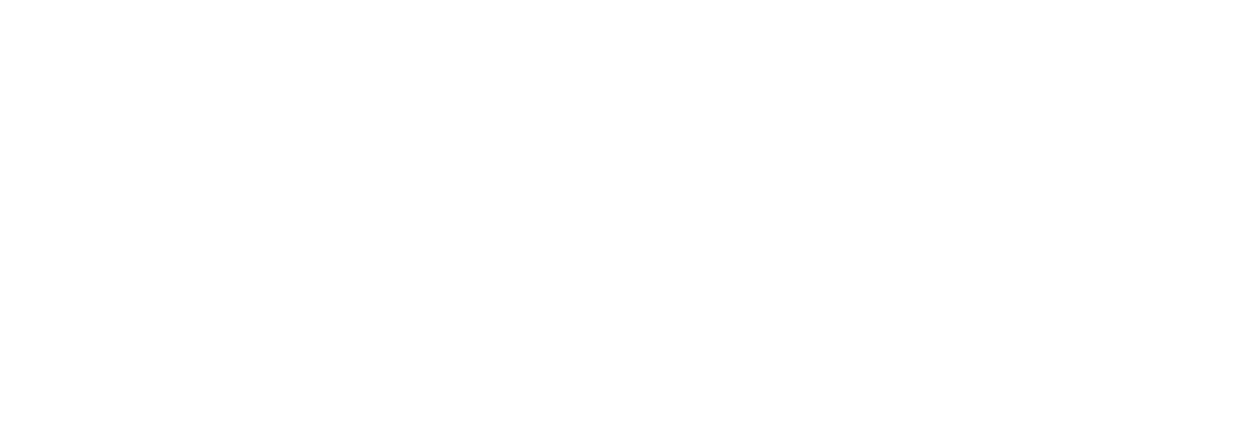 pmg-white-logo