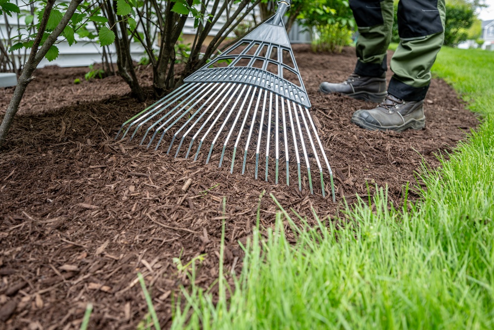 Landscaper,Raking,Fresh,Mulch,Around,Bushes,In,Garden.,Lawn,Care