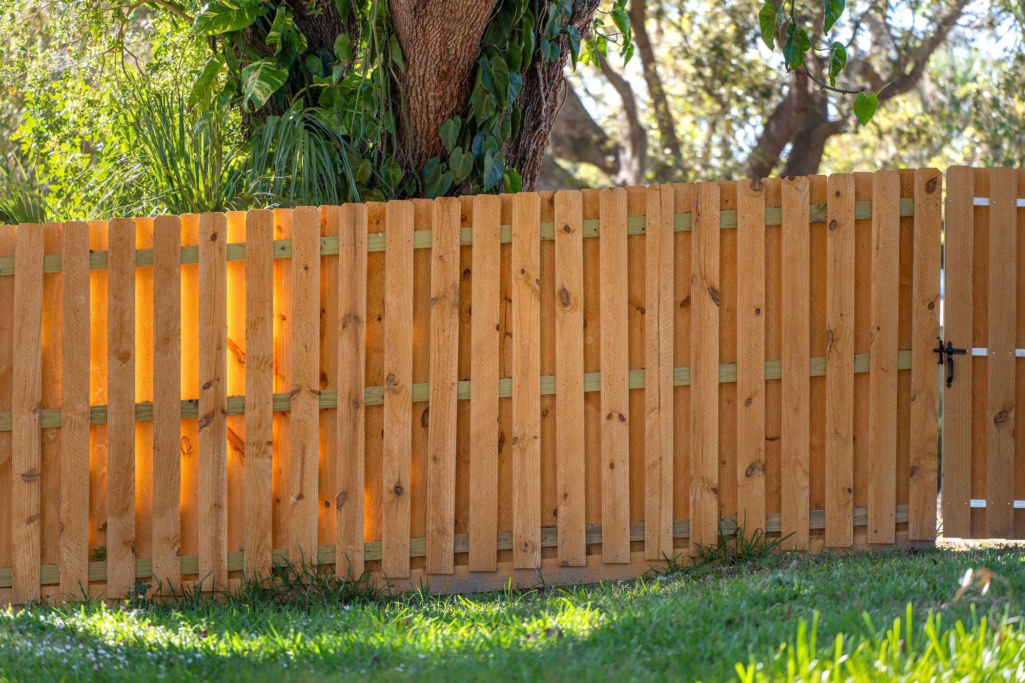 timber-fencing