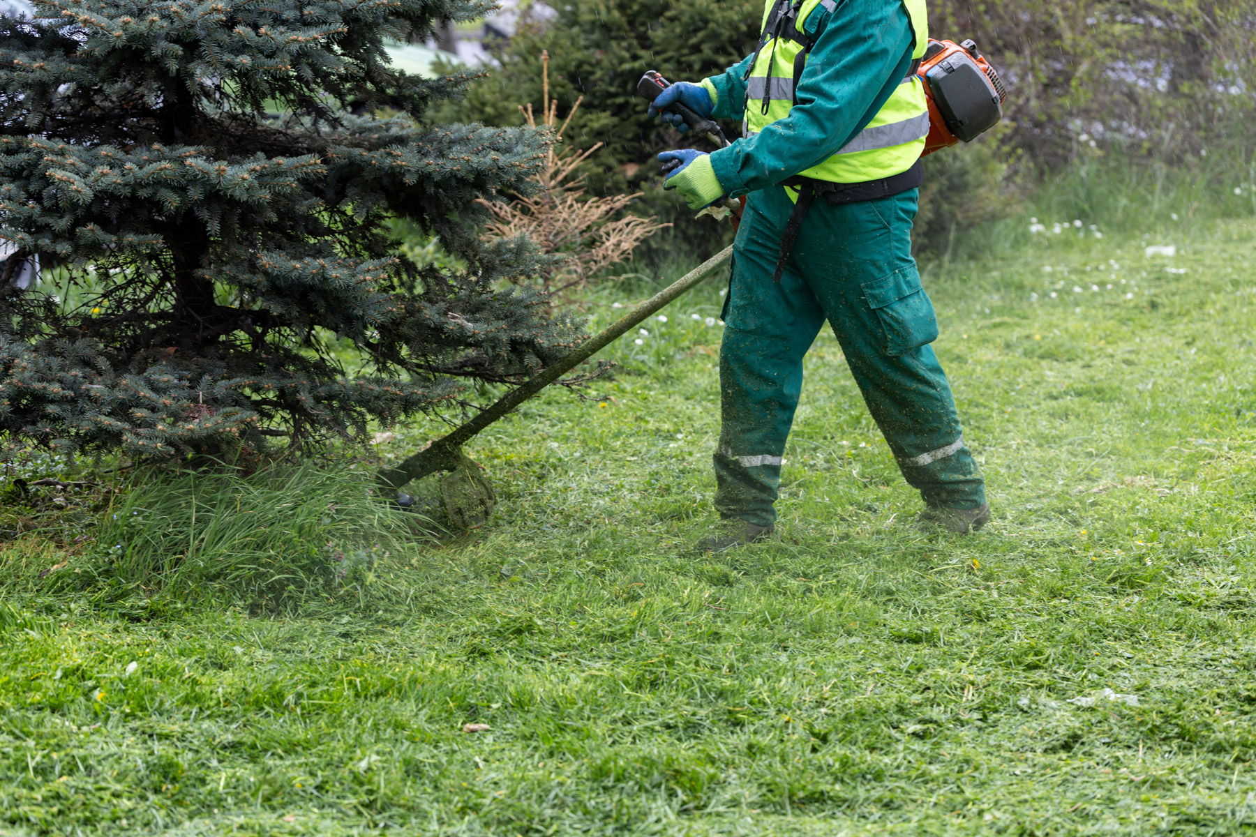 tree-services-galway